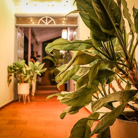 Aura Hotel Parque Barichara By Infinity Exterior photo